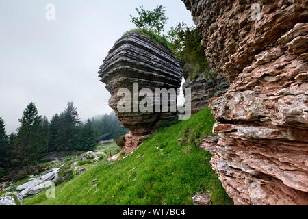 Les conformations rocheuses appelées "Ville de rock' au Mont Fior. Melette di Foza, Asiago Plateau, province de Vicenza, Vénétie, Italie, Europe. Banque D'Images