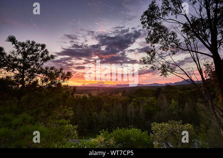 Les soleils la lumière se reflétant sur les nuages juste après le coucher du soleil au-dessus d'une forêt avec la Cordillère australienne dans l'arrière-plan pris de Repton, NSW, Australie Banque D'Images