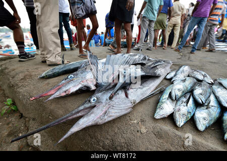 Bruyant et bondé soir marché de poisson de Cochin, poisson préparé pour la vente aux enchères, l'Inde Banque D'Images