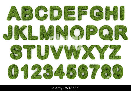 Alphabet d'herbe, des lettres et des chiffres Banque D'Images