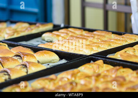 Couleurs du marché de rue en Israël. Pâtisseries sucrées. Banque D'Images