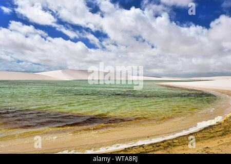 Lac Vert éblouissant dans le Parc National Lencois Maranhenses Banque D'Images