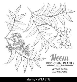 Vector set neem sur fond blanc Illustration de Vecteur