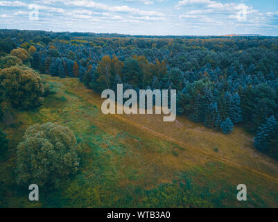 La forêt allemande photographié par drone en couleurs vintage Banque D'Images