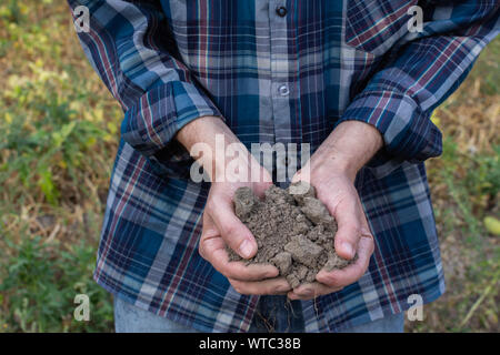 Les mains des agriculteurs avec le sol dans les paumes close-up , homme mains avec sol fertile Banque D'Images