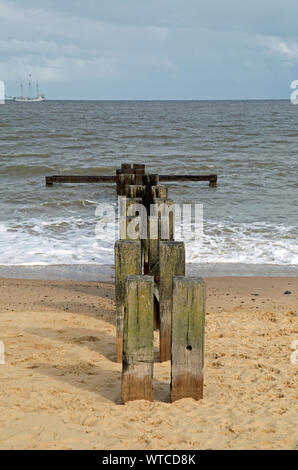 Sur Gorleston Mer, Norfolk, Angleterre, le bois de défense de la mer sur la plage de sable Banque D'Images