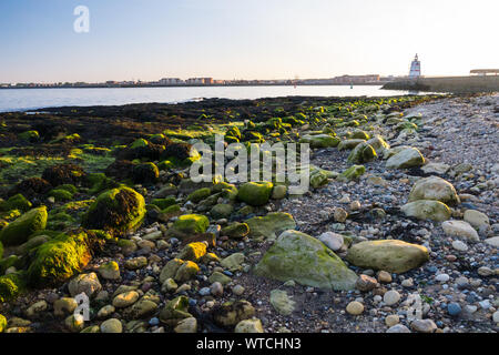 Plage de rochers couverts d'algues à l'Heugh, Hartlepool, regard vers le phare de pilotes Banque D'Images