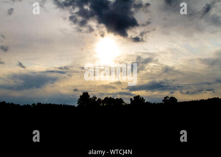 Forêt et collines au coucher du soleil, Waldviertel, Autriche Banque D'Images