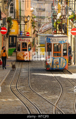 Les Trams, Lisbonne, Portugal Banque D'Images