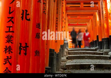 Les piétons à Fushimi Inari Taisha, temple shintoïste, beaucoup de portes d'Toriii traditionnel rouge, Fushimi Inari-taisha Fushimi, Hohaisho Okusha, Kyoto, Japon Banque D'Images