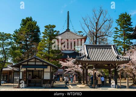 Amidado Pagoda, Temple de Chion-in, Kyoto, Japon Banque D'Images