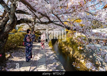 Sentier le long d'un canal, les cerisiers en fleurs au printemps, ou chemin du philosophe Tetsugaku no michi, Kyoto, Japon Banque D'Images
