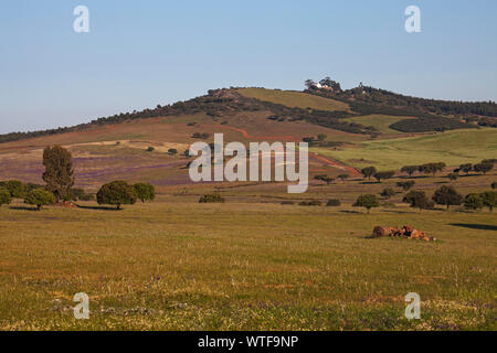 Le matériel roulant de la terre steppe plaines Castro Verde Alentejo Portugal Banque D'Images