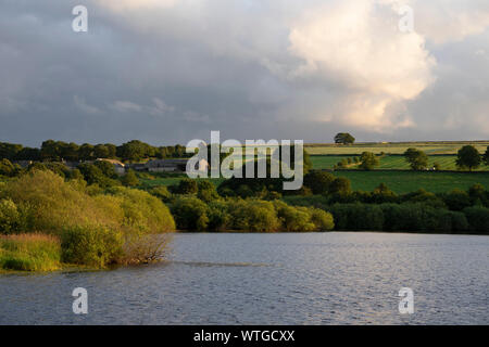 Réservoir de Royd Moor, nr Penistone, Yorkshire, Royaume-Uni Banque D'Images