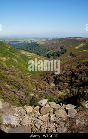 Vue de Ramsden Clough, Holmfirth, Angleterre, Royaume-Uni Banque D'Images