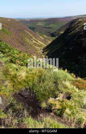 Vue de Ramsden Clough, Holmfirth, Angleterre, Royaume-Uni Banque D'Images