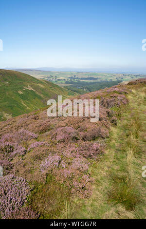 Vue de Ramsden Clough, Holmfirth, Angleterre, Royaume-Uni Banque D'Images