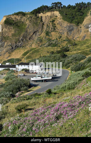 La floraison des fleurs sauvages au-dessus du petit port de Port Orford, Oregon, assis au-dessous des falaises. Banque D'Images
