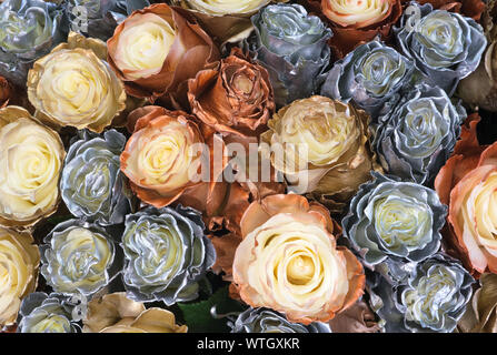 Peinture haute en couleur à l'Aquarelle fleurs roses abstract background Banque D'Images