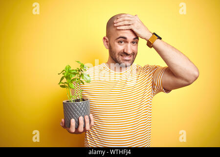 Jeune homme tenant le basilic plat terrain isolé sur fond jaune a souligné avec la main sur la tête, choqué par la honte et la surprise face, en colère et frustrat Banque D'Images