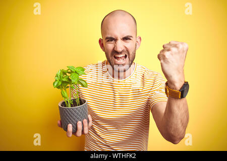 Jeune homme tenant le basilic plat terrain isolé sur fond jaune contrarié et frustré de crier avec colère, fou et hurlant de main levée, ange Banque D'Images