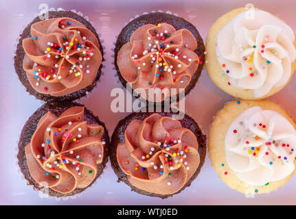 Cupcakes sur un plateau en céramique lavande comme vu du dessus. Cupcakes multicolores avec velours rouge, vanille, chocolat, citron, fraise et saveurs Banque D'Images