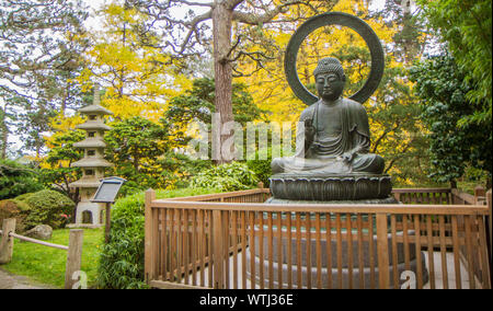 Statue de bouddha assis dans le parc entouré d'arbres jaunes de ginko avec une pagode en arrière-plan. Banque D'Images