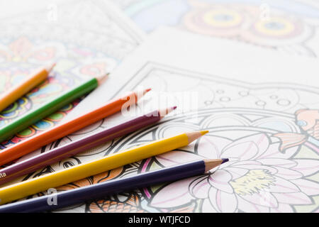 Crayons de couleur sur la page de coloriage Banque D'Images