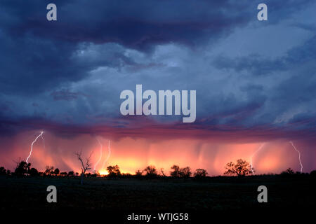 La fin de l'après-midi d'orage, l'extrême ouest de NSW, Australie. Banque D'Images