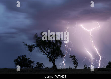 Orage d'été, Victoria, Australie Banque D'Images