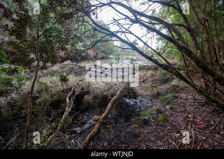 Photo par Tim Cuff - 13 juin 2019 - A591 Quay, près de Takaka Banque D'Images