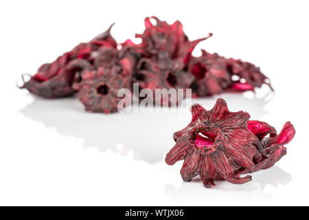 Beaucoup de rouge doux ensemble un hibiscus confit de côté est isolé sur fond blanc Banque D'Images