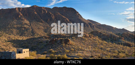 Large panorama de saguaro national park à l'aube Banque D'Images