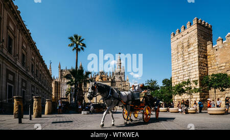 Séville, Espagne - Sept 9, 2019 : calèche touristique donnant sur la Tour Giralda de la Cathédrale de Séville, Espagne Banque D'Images