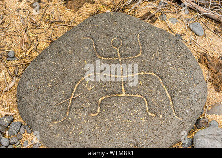 Hawai'i, la grande île du Sud, Kahala, Puako Petroglyph Archaeological Park Banque D'Images