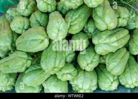 Chayotte frais du jardin en Thaïlande. Banque D'Images