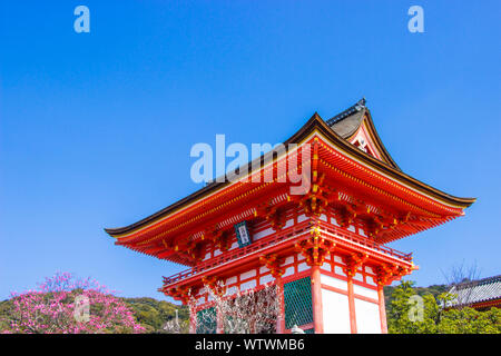 KYOTO, JAPON - 12 mars 2018 : Touristique au temple Kiyomizu-dera pendant cherry (sakura) floraison vont fleurir à Kyoto, Japon Banque D'Images