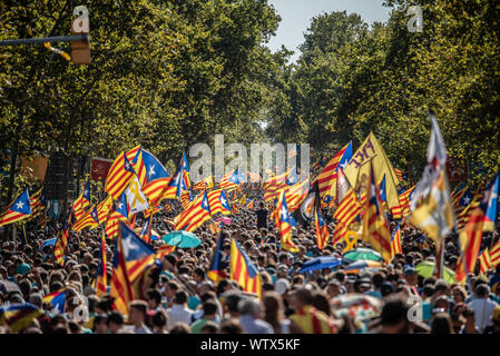 Barcelone, Espagne. Sep 11, 2019. Foule rassemblée holding flags pendant la manifestation pour la Journée nationale de la Catalogne, qui a été organisé par l'Assemblée nationale catalane. Credit : SOPA/Alamy Images Limited Live News Banque D'Images