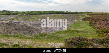 Combustion contrôlée de vieux et sec heather à Morsum Falaise, Allemagne. Le processus de gravure de petites zones supprime la croissance plus âgés et permet aux plantes Banque D'Images