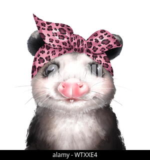 Bandana vêtu d'Opossum Banque D'Images