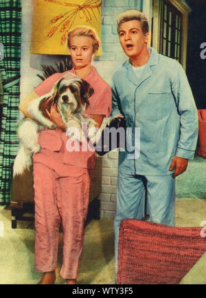 L'amour dans un bocal aka Blonde, süß und sehr, USA, 1961 de l'influenza aviaire, Regie : Jack Sher, acteurs : Tommy Sands, Toby Michaels Banque D'Images