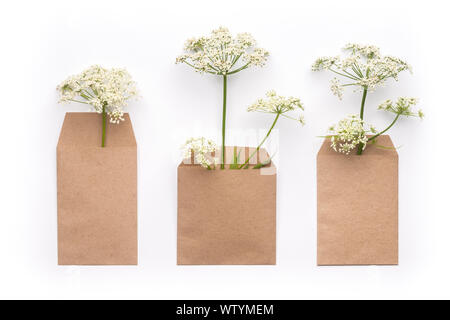 Les herbes dans l'artisanat des enveloppes papier sur fond blanc pur Banque D'Images