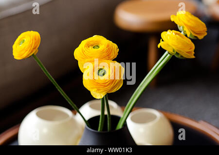 Bouquet de buttercups persans (Ranunculus asiaticus) dans un vase noir. Fleurs jaunes à l'intérieur. Gros plan. Composition florale, scène, lumière du jour. Banque D'Images