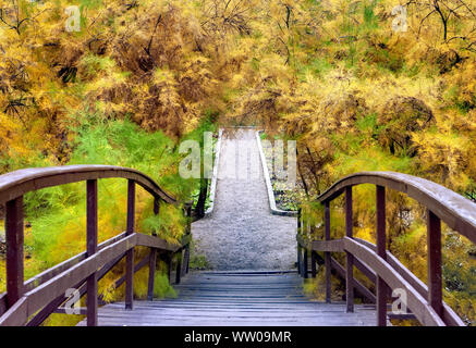 Pont de bois dans le parc automne à Wroclaw, Pologne Banque D'Images