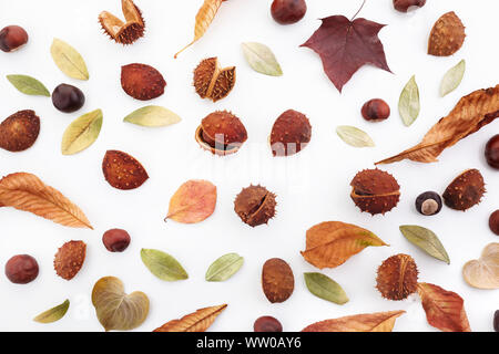 Composition d'automne fait de glands, de châtaignes et de feuilles sèches sur fond blanc. Mise à plat, vue du dessus. Banque D'Images