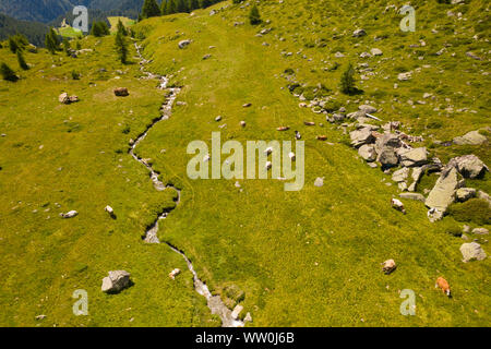 Photo prise du dessus avec un vrombissement d'un vert pâturage sur les dolomites avec vaches et s'étala d'eau Banque D'Images