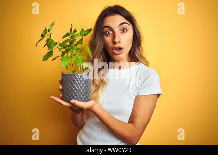 Young Beautiful woman holding pot de basilic sur jaune fond isolé peur sous le choc avec un visage surpris, effrayé et excité avec crainte expression Banque D'Images