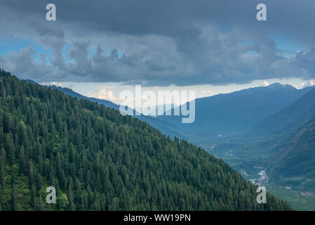 Belle vue sur les montagnes de l'Himalaya et d'arbres deodar - Banque D'Images