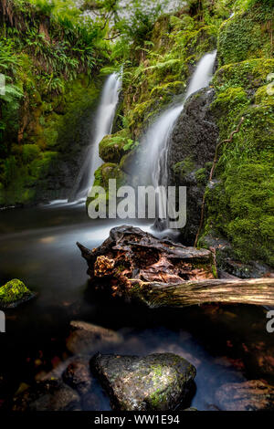 Venford Angleterre Devon Dartmoor tôt le matin à une belle cascade double sur Venford Brook Banque D'Images