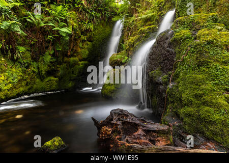 Venford Angleterre Devon Dartmoor tôt le matin à une belle cascade double sur Venford Brook Banque D'Images